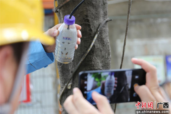 住戶為防止雨天插座漏電而套上的塑料瓶中積水明顯，存在漏電隱患。謝耘 攝